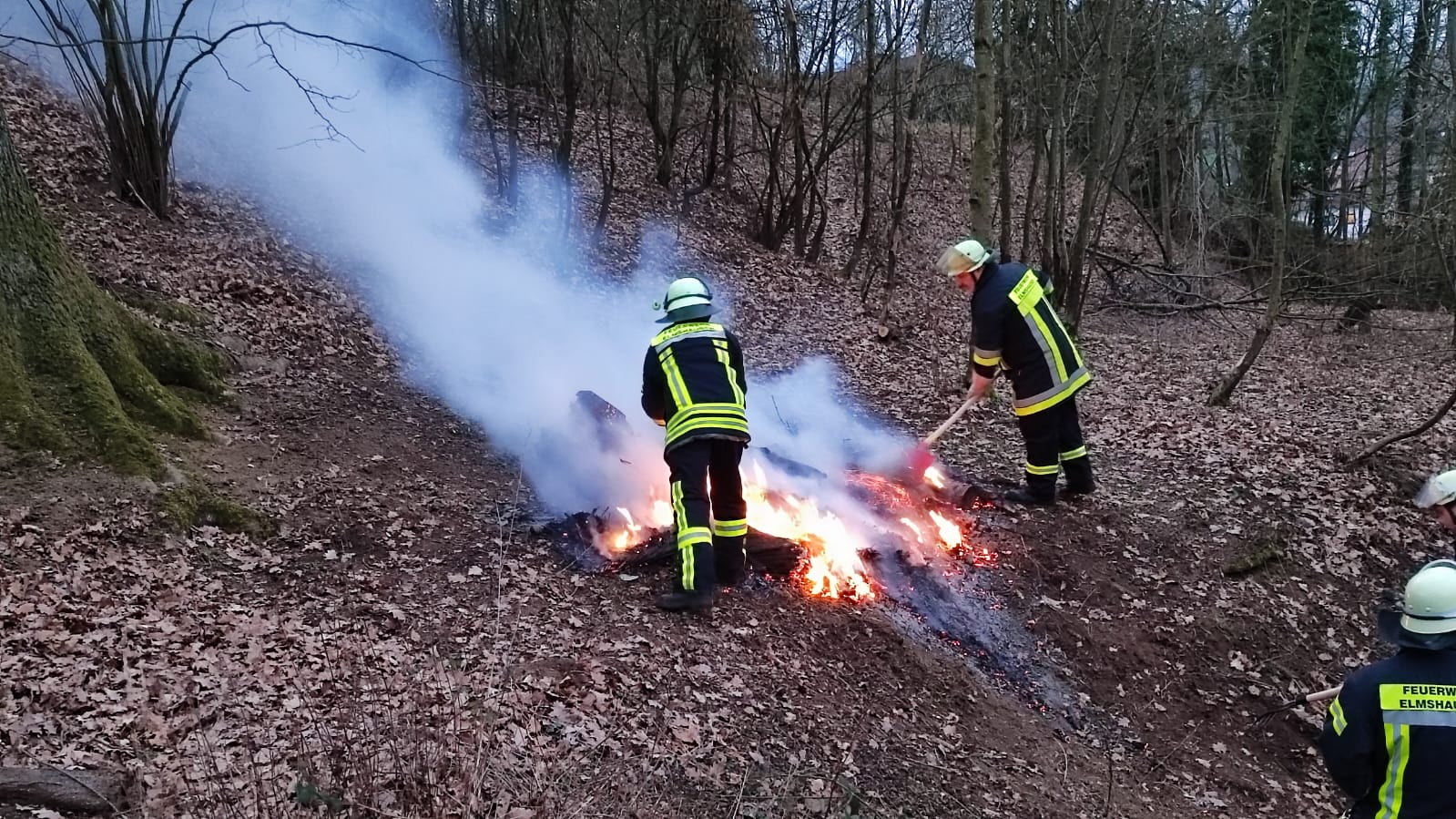 Bild 5 | F1 - Brand klein