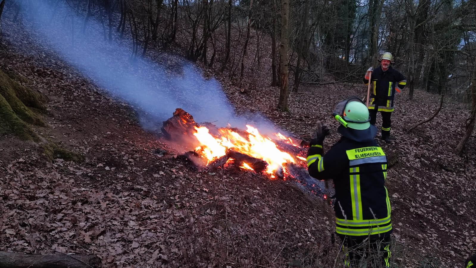 Bild 7 | F1 - Brand klein