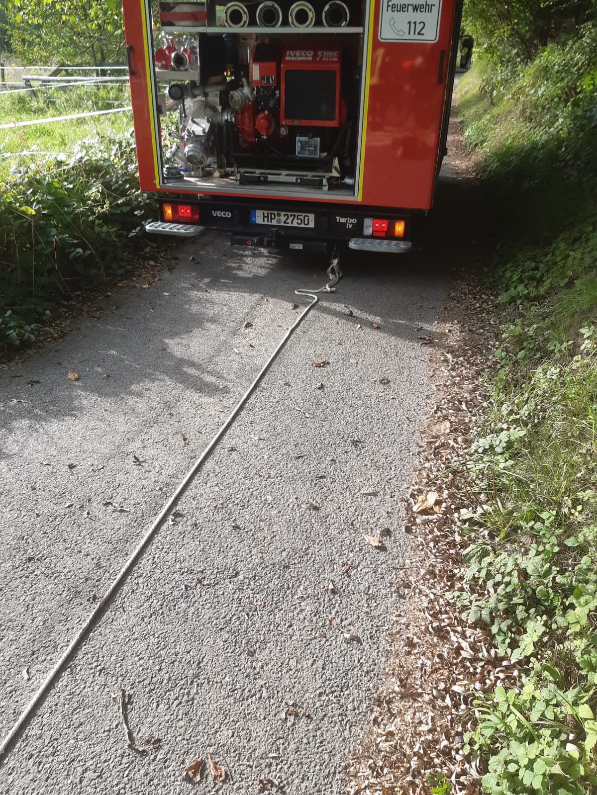 Bild 4 | H1 - Umgestürzter Baum