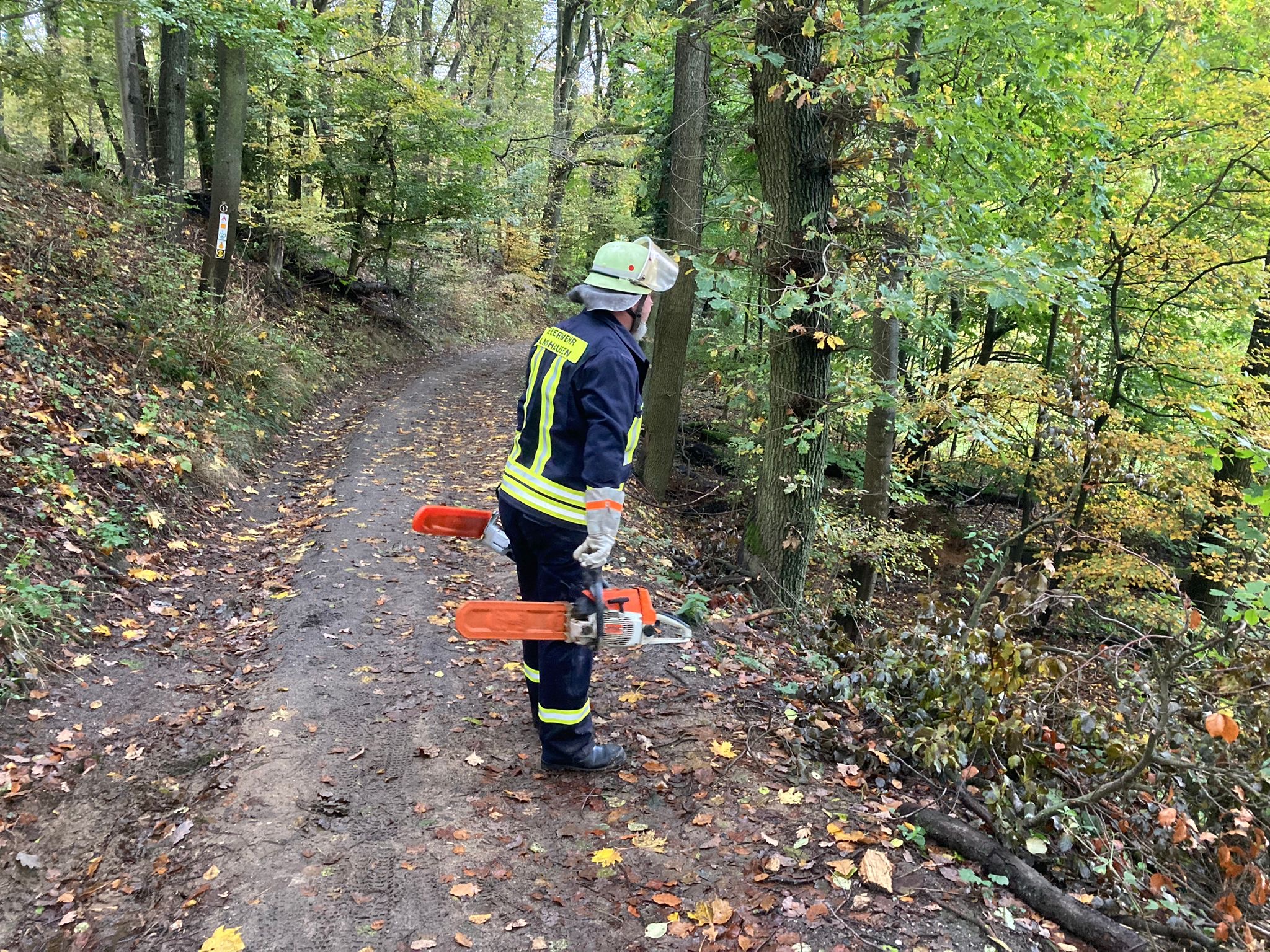 Bild 3 | H1 - Baum auf Straße