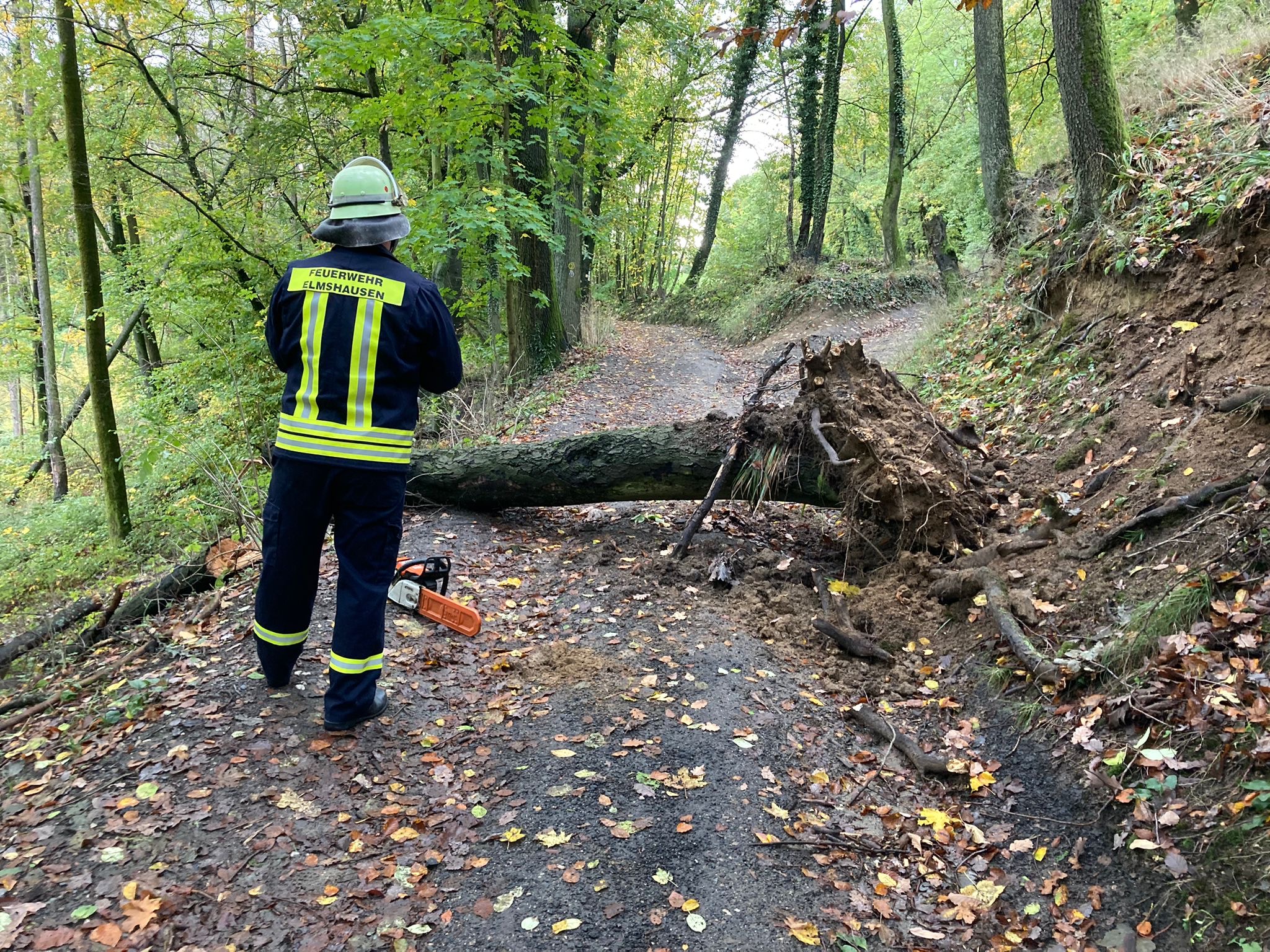 Bild 4 | H1 - Baum auf Straße