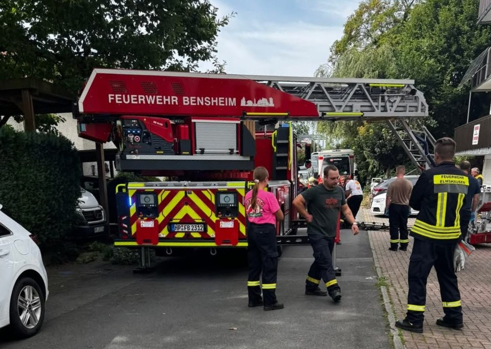 Bild 1 | H1Y - Tragehilfe für RD