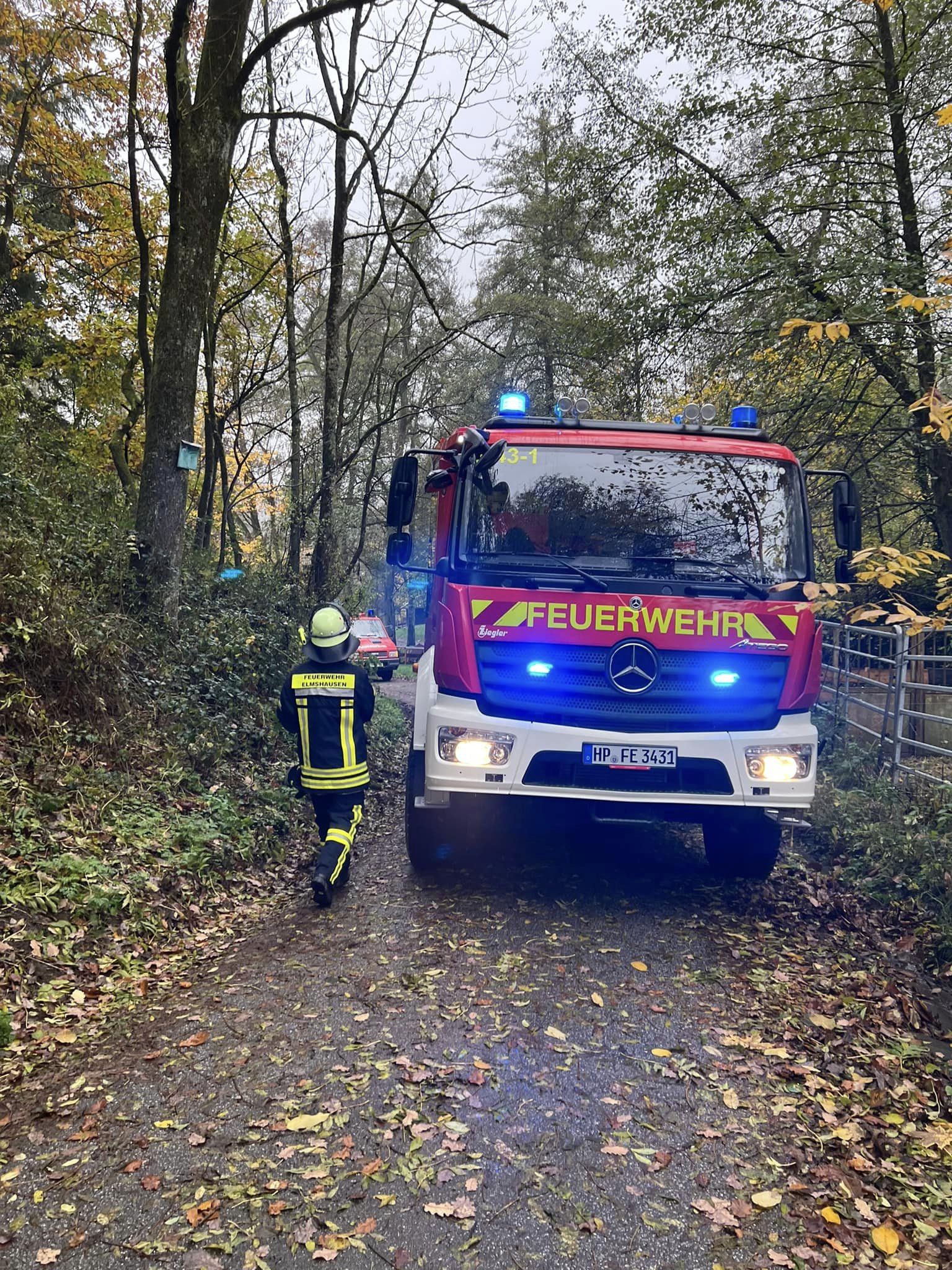 Bild 2 | H1 - Baum auf Straße